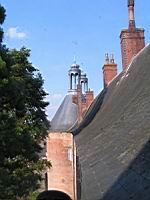 Saint-Fargeau, Chateau, Toits (104)